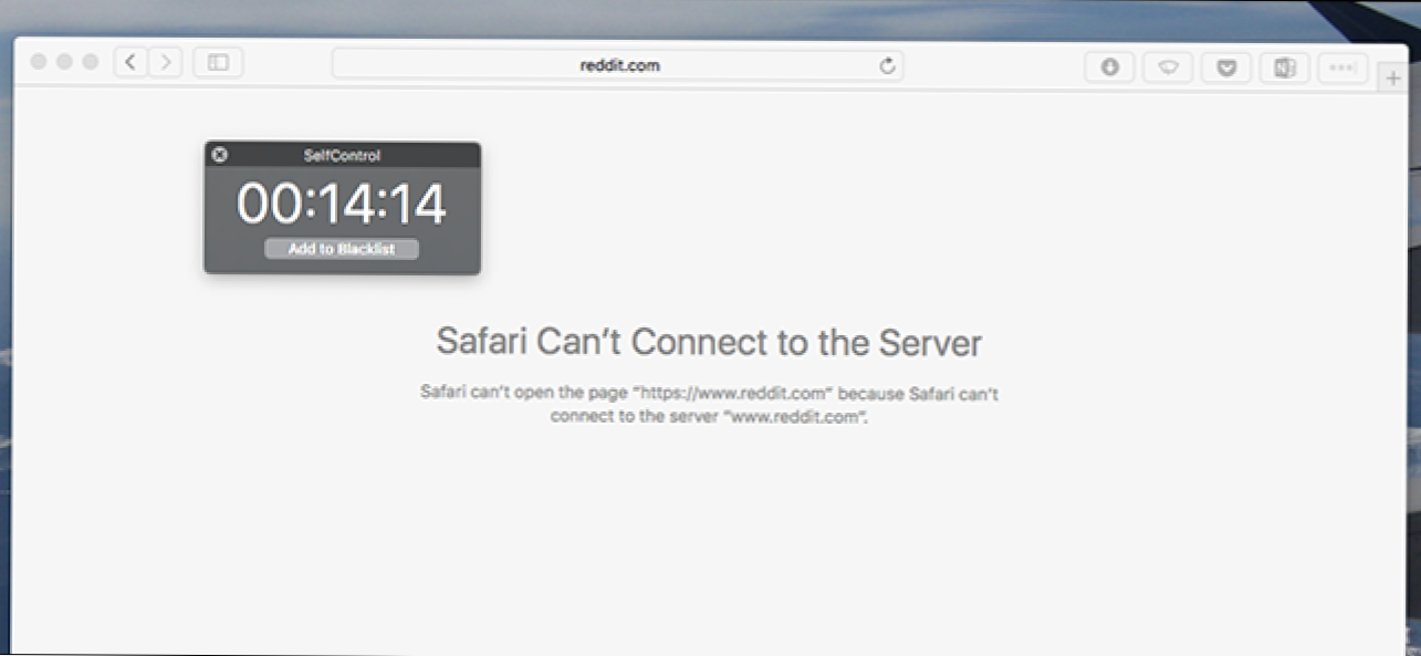 Self-control app. Сервер сафари. Сервер сафари. Проверка нажатия на изображение c#. Сервера сафари.