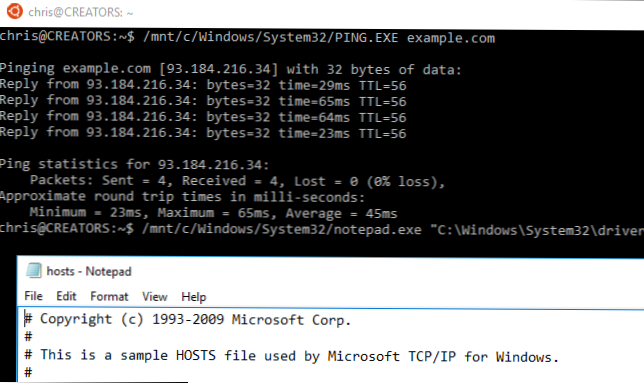 C ping example