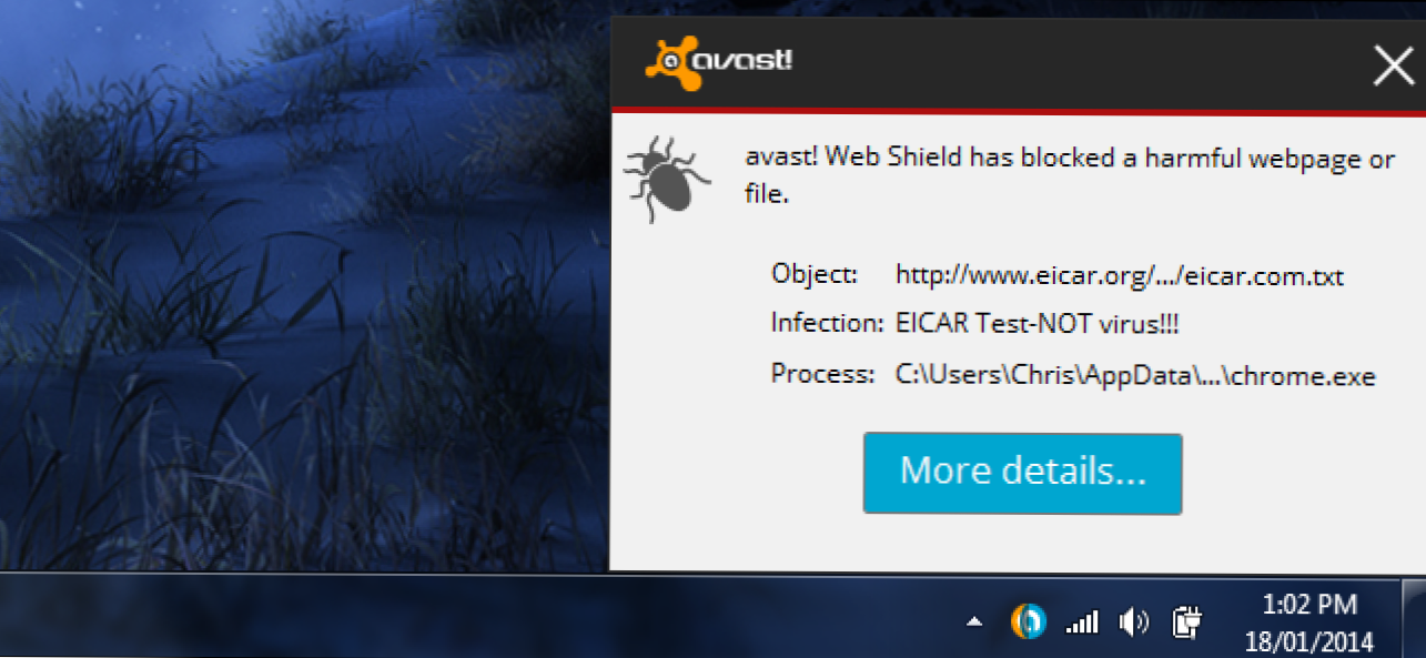 Вирус EICAR аваст. Файл not a virus